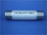 Stainless Steel Pipe Nipples 316